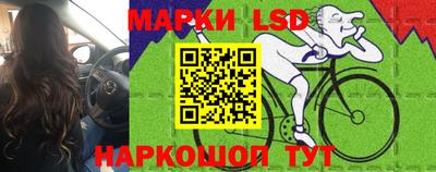 прущие грибы Волжск