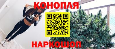 прущие грибы Волжск