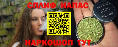 прущие грибы Волжск