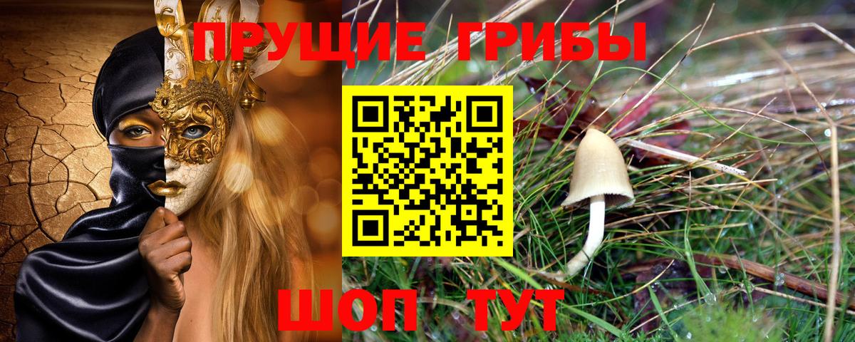 цена наркотик  Псилоцибиновые грибы Psilocybe  Екатеринбург  Вход с VPN  Псилоцибиновые грибы Psilocybine cubensis 
