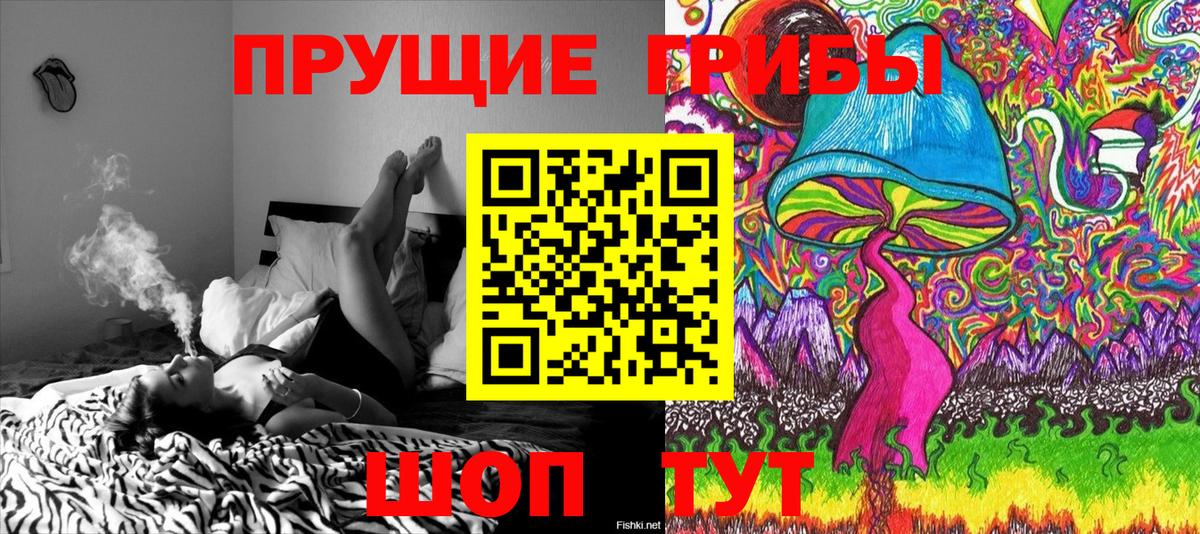 Псилоцибиновые грибы Magic Shrooms Екатеринбург