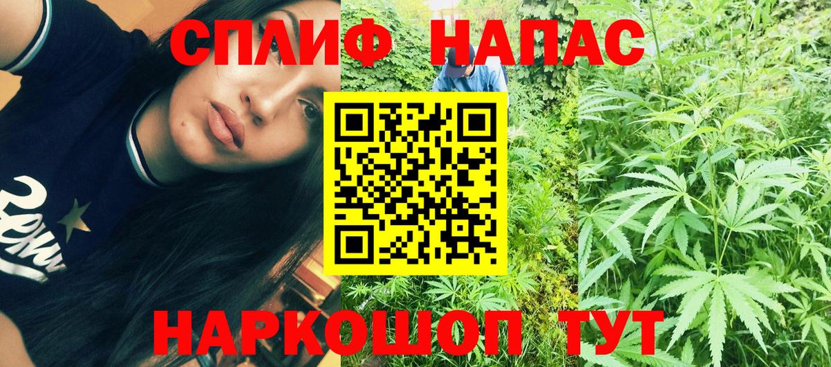 Марихуана Amnesia  Канабис план  Бошки марихуана семена  Екатеринбург  Вход с VPN 
